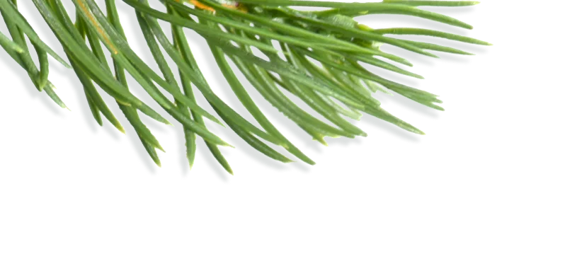 NONUO Artificial Christmas Trees for Every Home, Great Value NONUO-Artificial Christmas trees-1