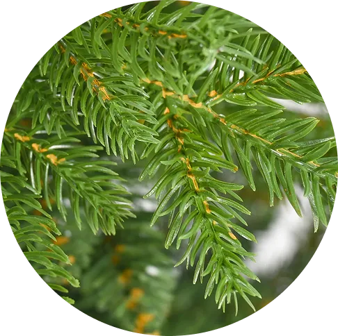 NONUO Artificial Christmas Trees for Every Home, Great Value